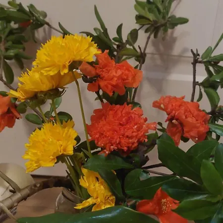 Next To Blloku Lovely Apartment-comodissimo Centro Lägenhet *