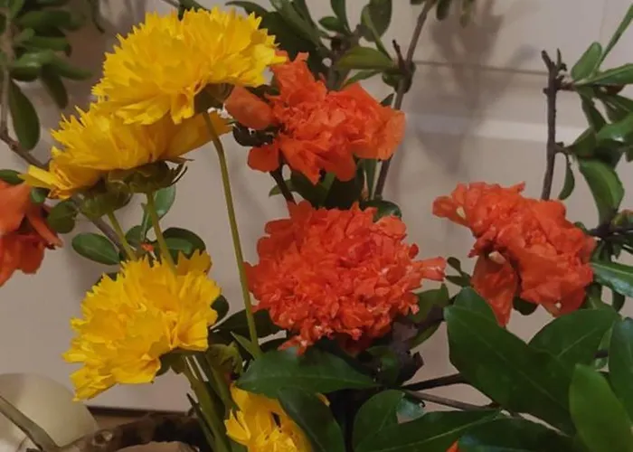 Next To Blloku Lovely Apartment-comodissimo Centro 公寓 *